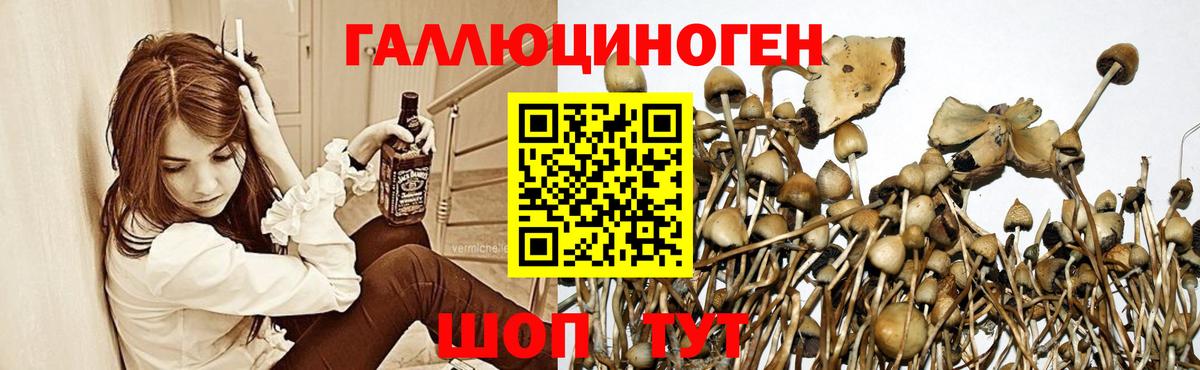 Галлюциногенные грибы ЛСД Кизляр